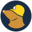Mullvad VPN