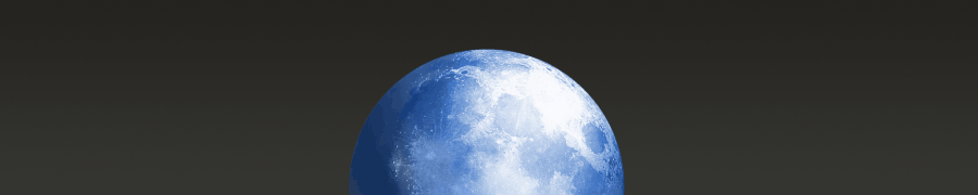 Pale Moon 28 — важное обновление альтернативного браузера