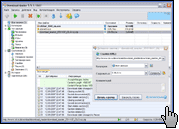 Скриншот Download Master 1