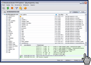 Скриншот Download Master 3