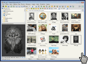Скриншот FastStone Image Viewer 1