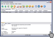 Скриншот Free Download Manager 2