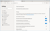 Скриншот Microsoft Edge 2