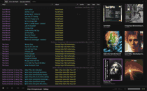 Интерфейс Tauon Music Box