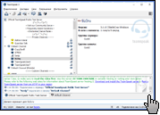 Скриншот TeamSpeak 1