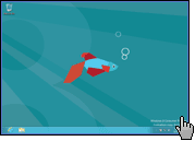 Windows 8